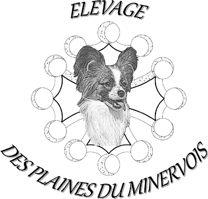 Plaine du Minervois